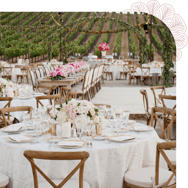 Wedding set in a Vineyard